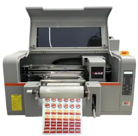 RAMZ  30cm Roll To Roll UV DTF Printer